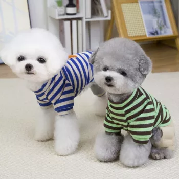Striped Winter Pet Jumpsuit: Fit, Warmth & Care Tips