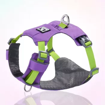 Ultra-Light Breathable No-Pull Harness for Small Dogs